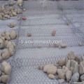 Murs de jardin en panier de gabion enduits de PVC